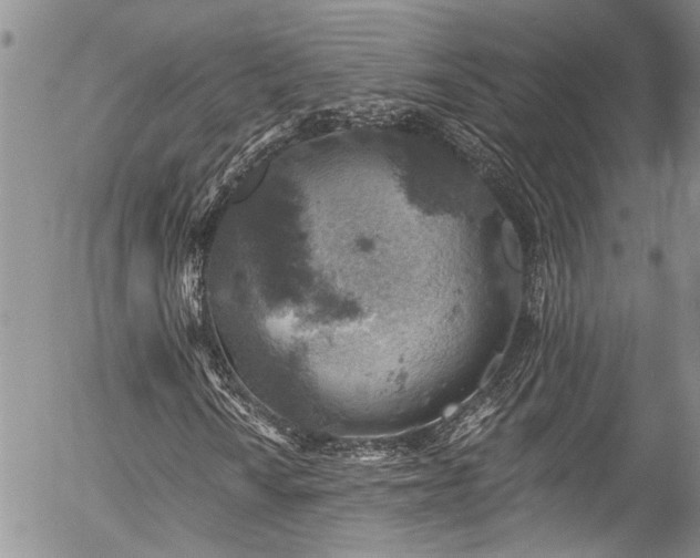 X0000057571010200509191436