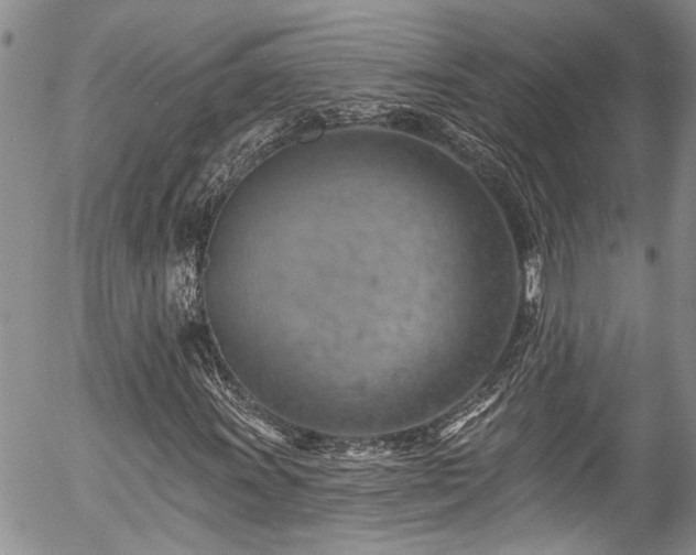 X0000057571011200509191436