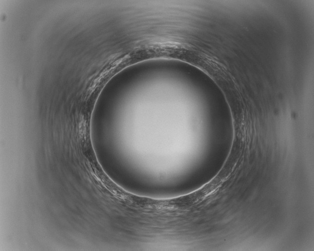 X0000057571061200509191436
