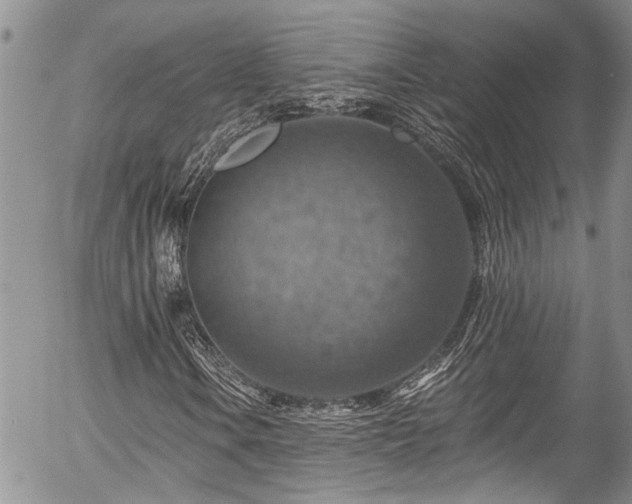 X0000057571106200509191434