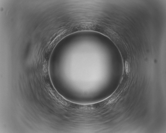 X0000057571107200509191434