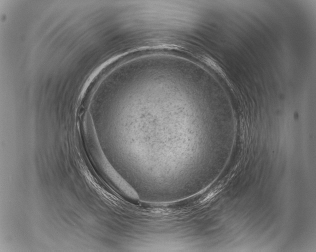 X0000057571124200509191434