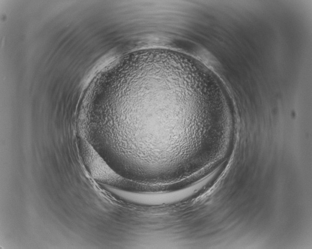 X0000057571145200509191435