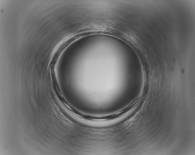X0000057571172200509191434