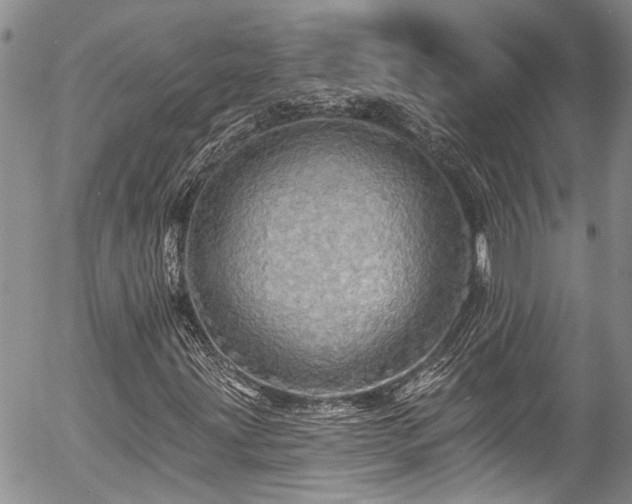 X0000057571203200509191433