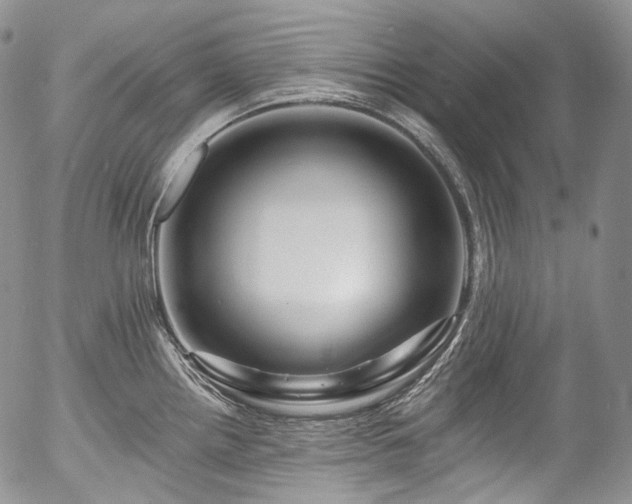 X0000057571242200509191433