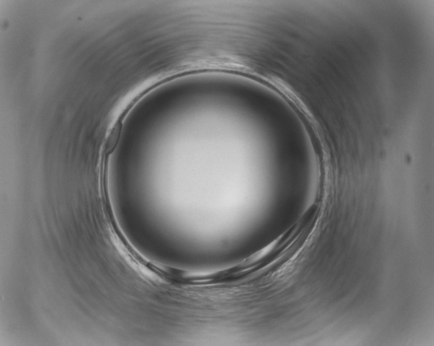 X0000057571246200509191433