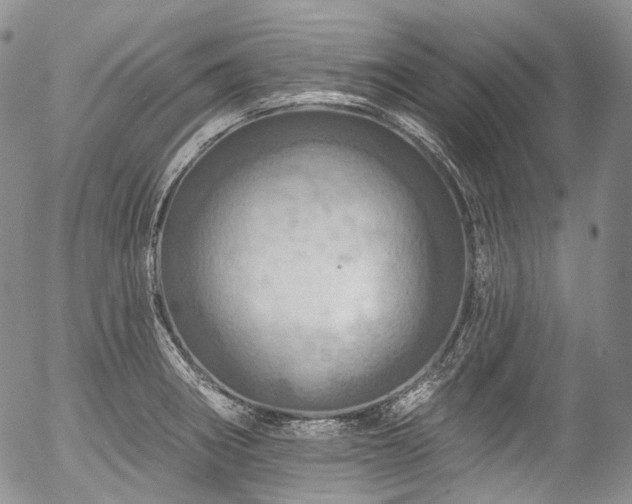 X0000057571282200509191432