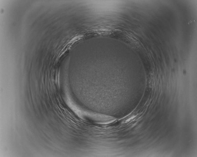 X0000057571298200509191431