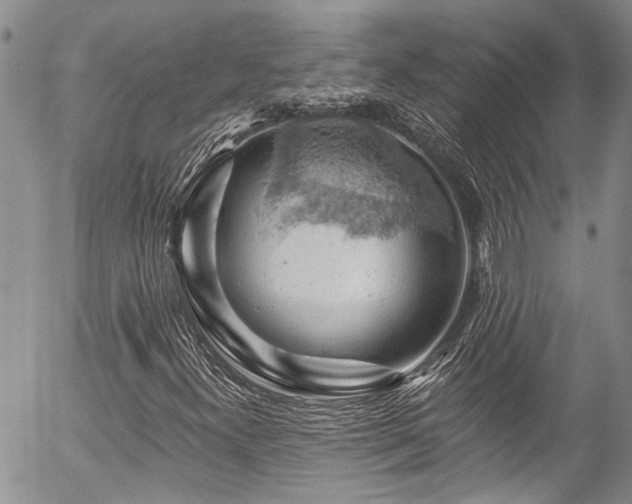 X0000057571300200509191431
