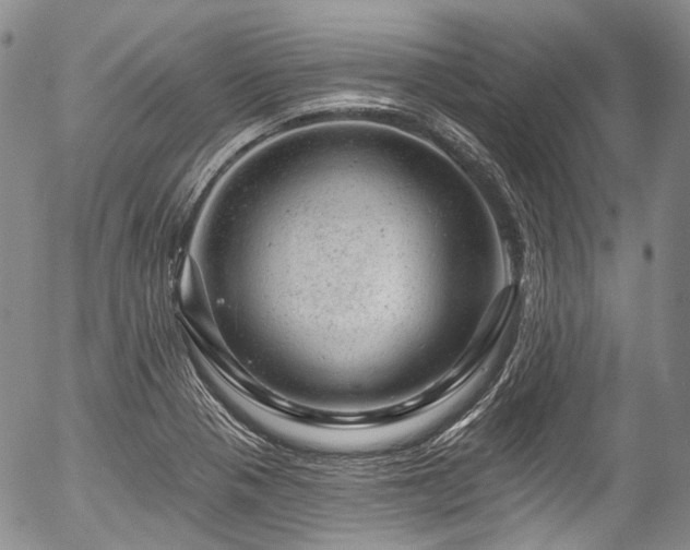 X0000057571321200509191431