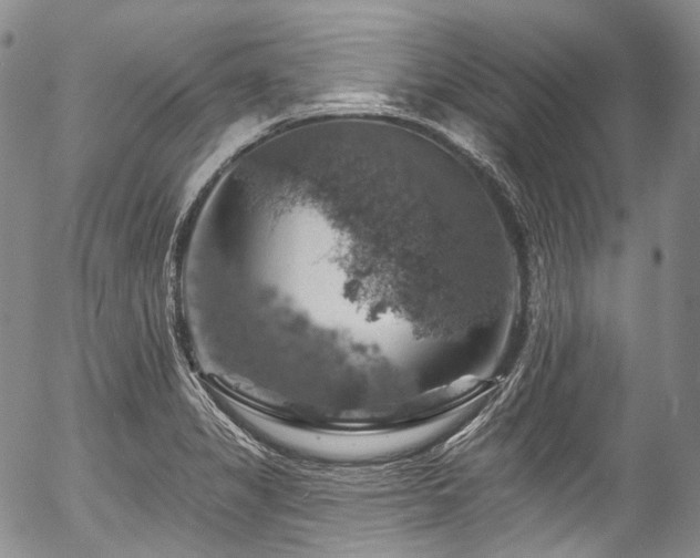 X0000057571325200509191431