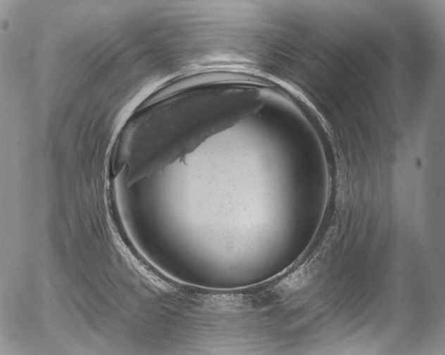 X0000057571333200509191432
