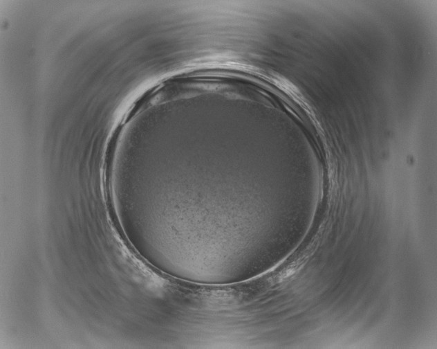 X0000057571334200509191432