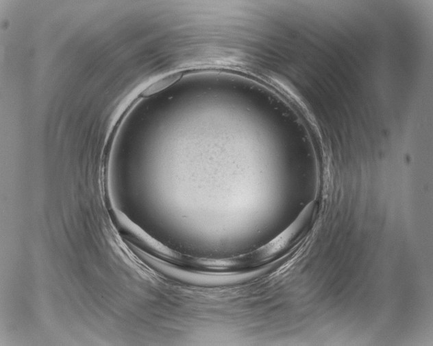 X0000057571340200509191432