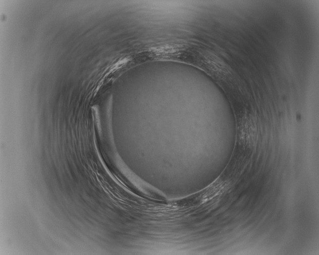 X0000057571346200509191431