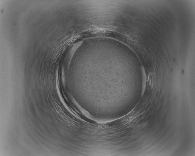 X0000057571348200509191431