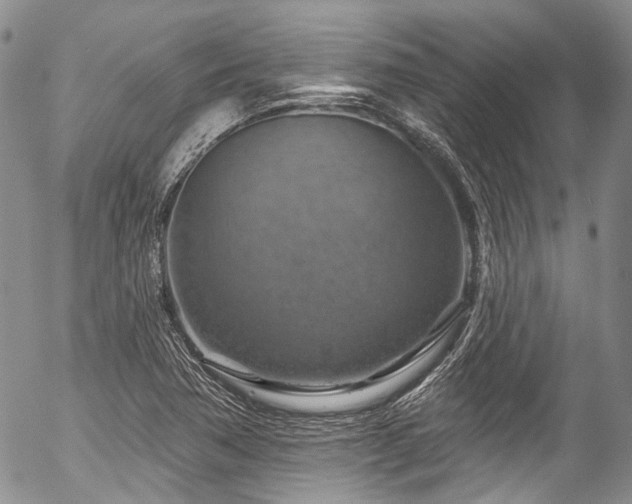 X0000057571362200509191431