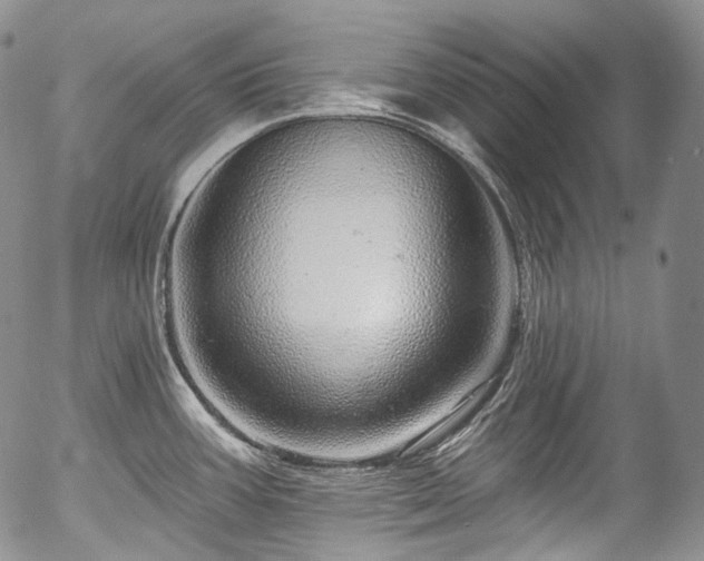 X0000057571387200509191430