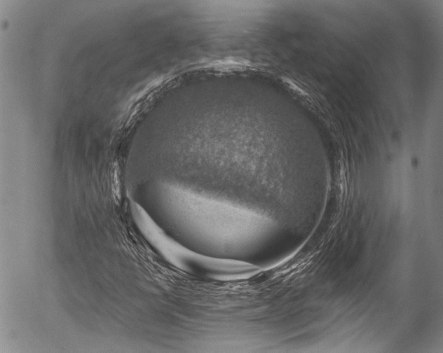 X0000057571398200509191429