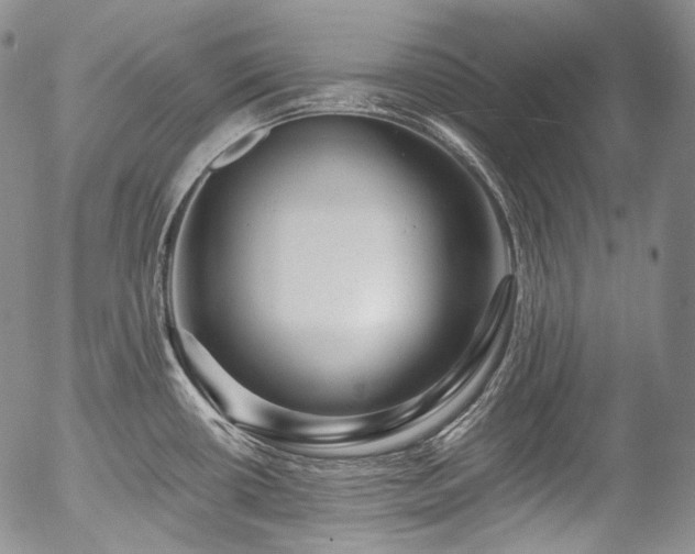 X0000057571434200509191430