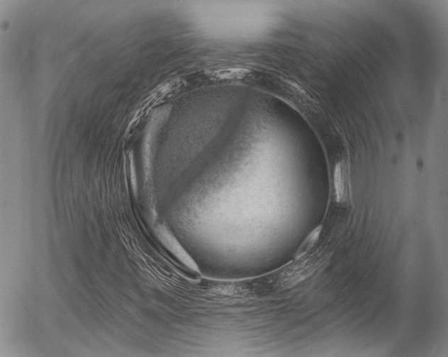 X0000057571443200509191429