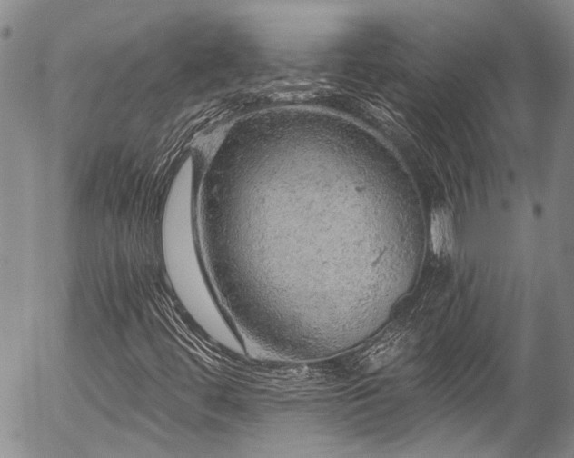 X0000057571444200509191429
