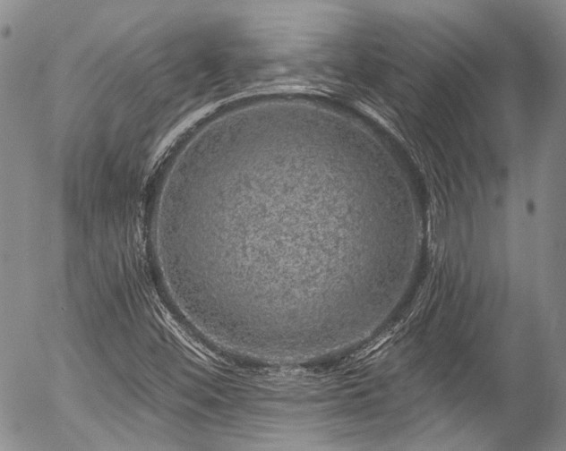 X0000057571452200509191429