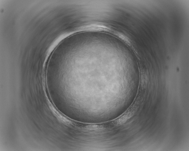 X0000057571478200509191429