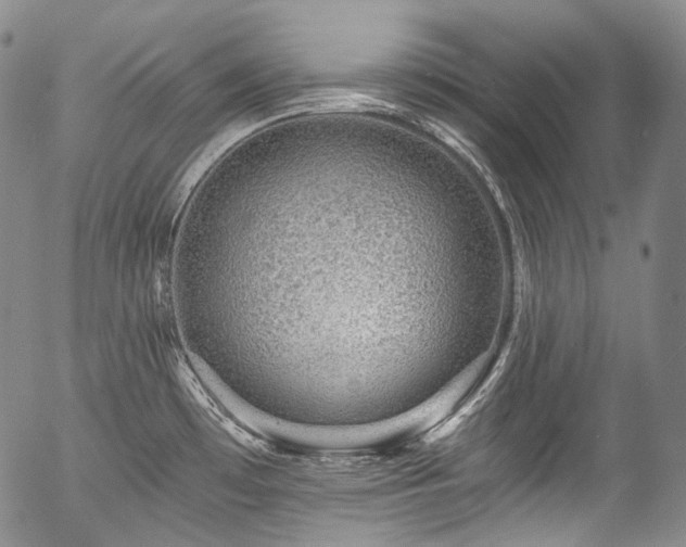 X0000057571481200509191429