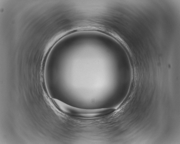 X0000057571485200509191429