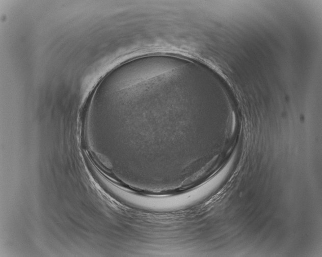 X0000057571508200509191428