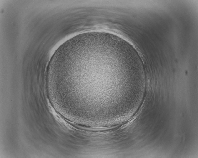 X0000057571534200509191429