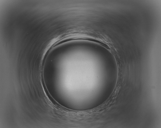 X0000057570003200509231238