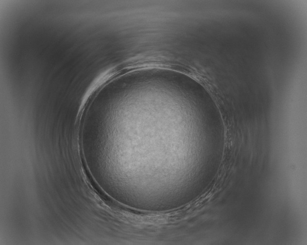 X0000057570004200509231237