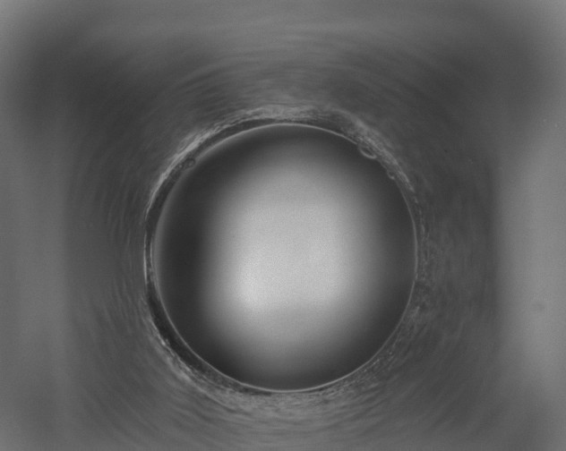 X0000057570011200509231237