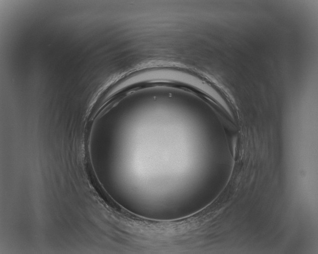 X0000057570015200509231237