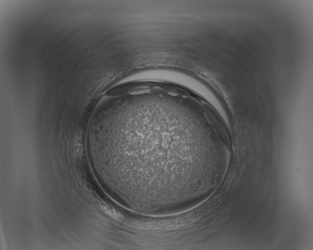 X0000057570017200509231237