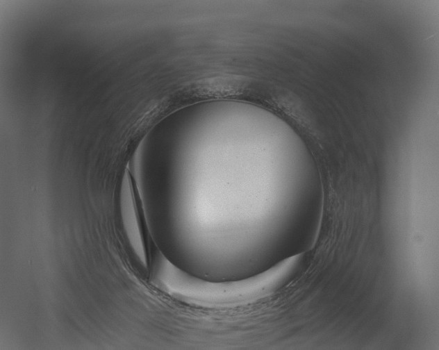 X0000057570021200509231237