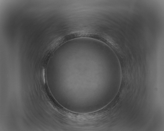 X0000057570022200509231237