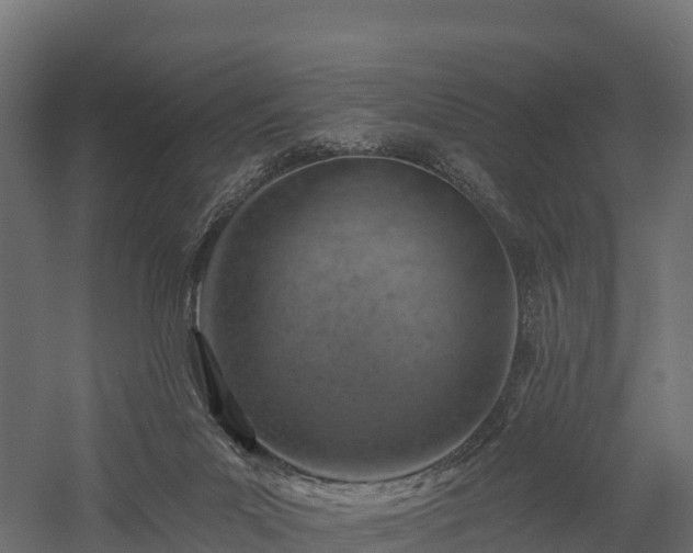 X0000057570023200509231237