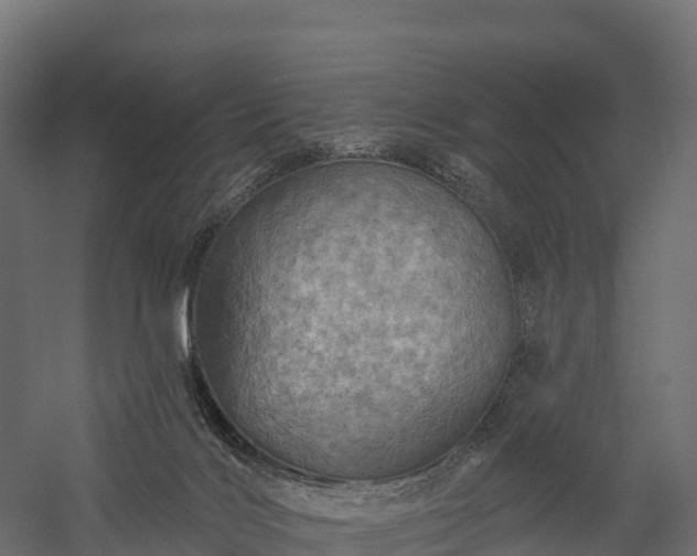 X0000057570028200509231237