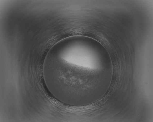 X0000057570029200509231237