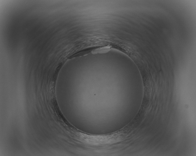 X0000057570034200509231237