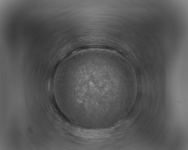 X0000057570044200509231237