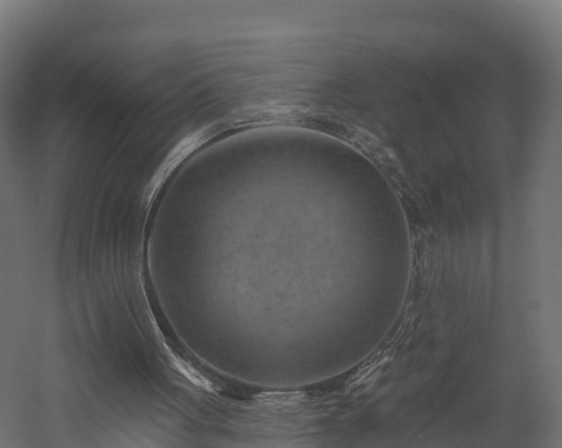 X0000057570051200509231236