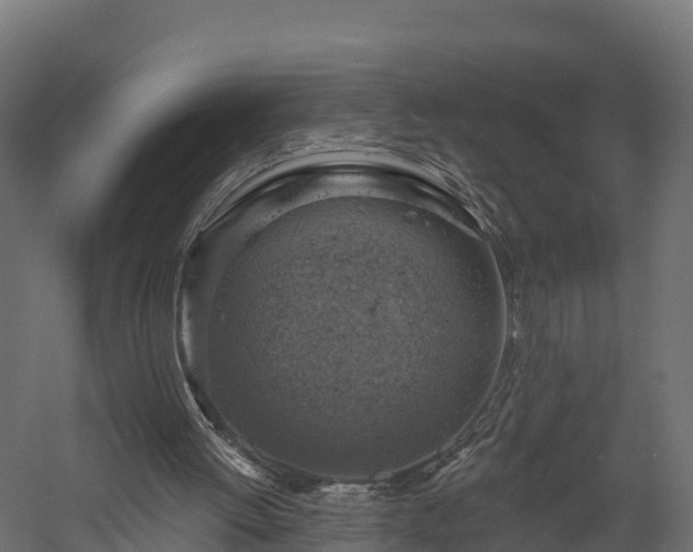 X0000057570052200509231236