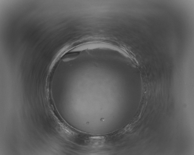X0000057570053200509231236