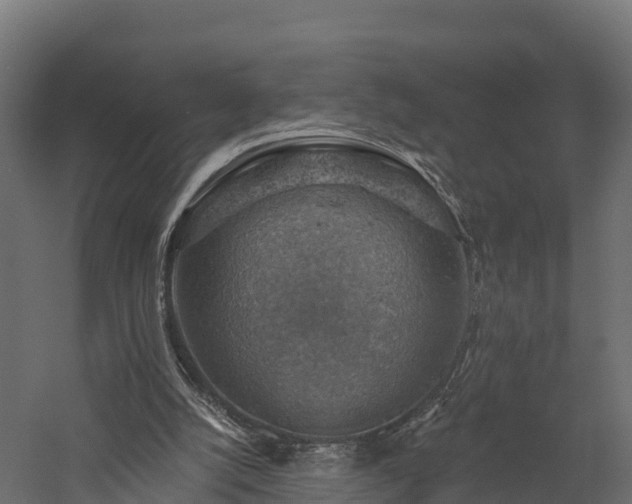 X0000057570056200509231236