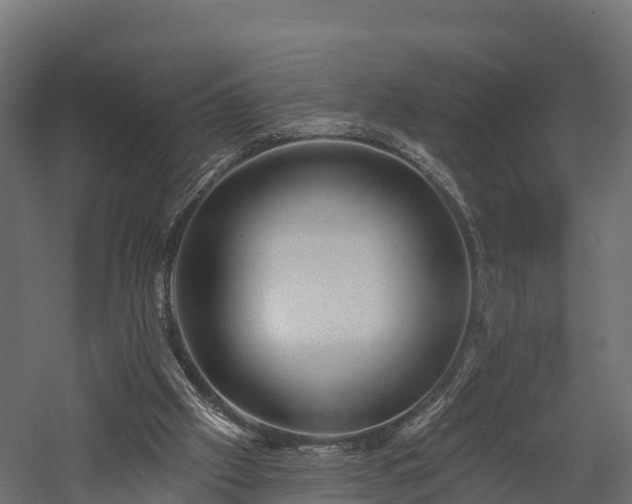 X0000057570057200509231236